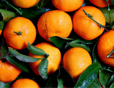 Vitamin C