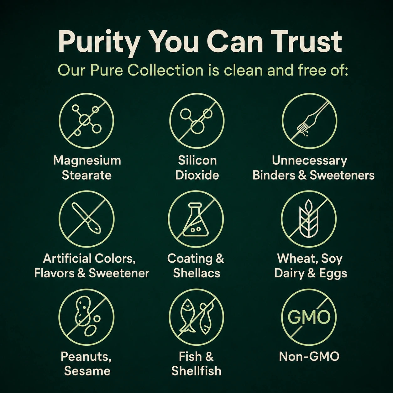 Move More Comfortably with Turmeric Curcumin (1,000mg)